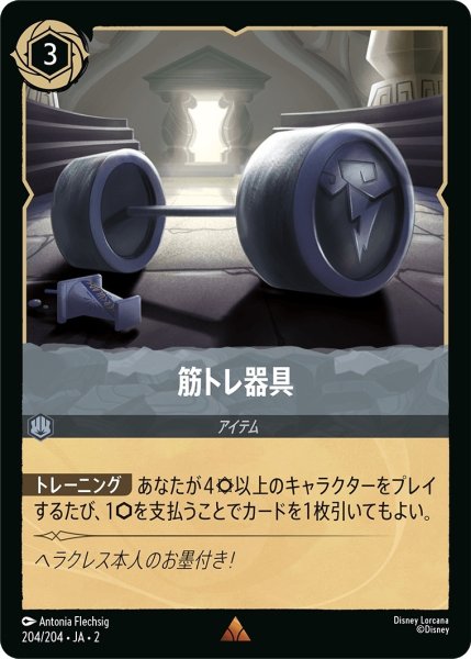画像1: (foil)筋トレ器具【R】｛JA2-204/204｝ (1)