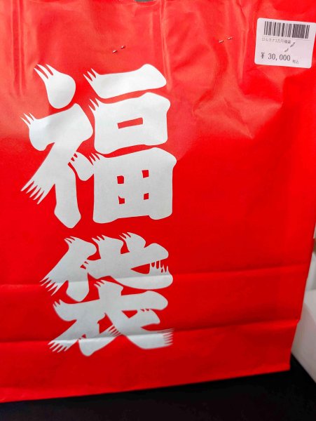 画像1: ロルカナ福袋　3万円 (1)