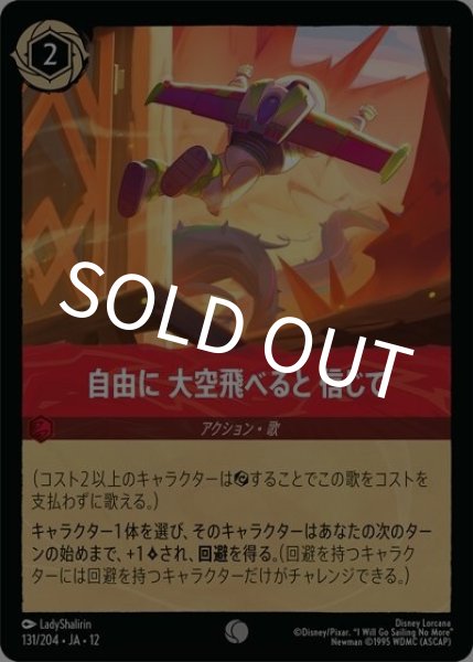 自由に 大空飛べると 信じて（DLCS12 131/224 コモン） 10