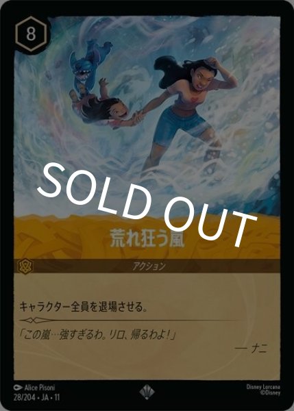 荒れ狂う嵐（DLCS11 28/28 スーパーレア） 10